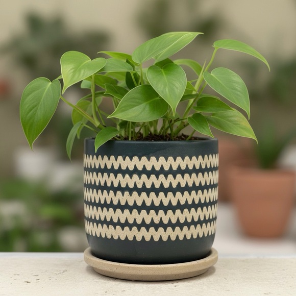 Other - 6" Modern Boho Ceramic Planter with Attached Saucer – Dark Green & Beige Zig-Zag